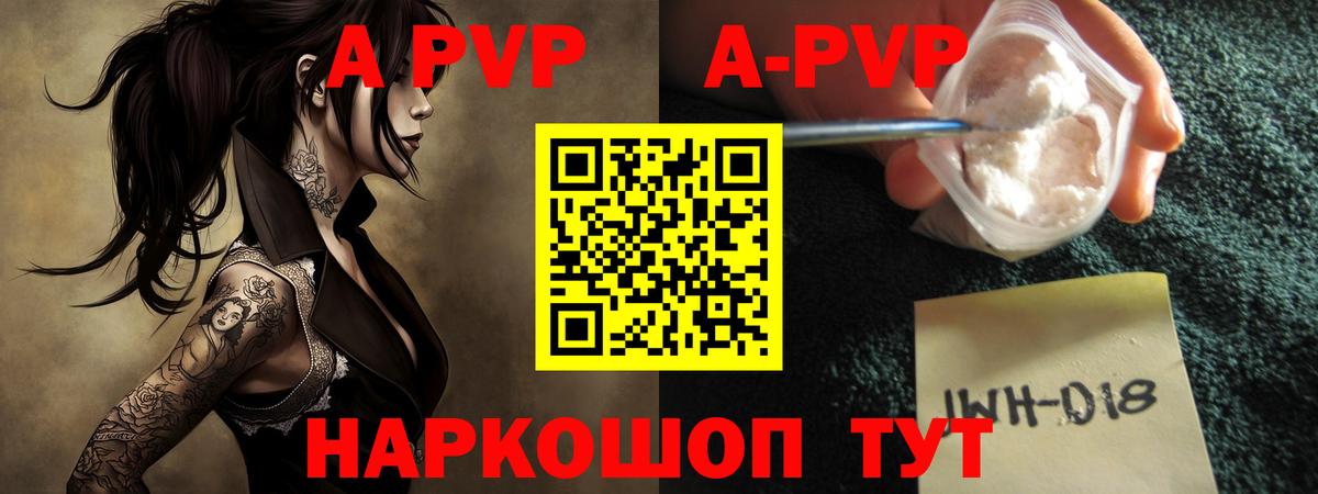 APVP СК Дальнегорск