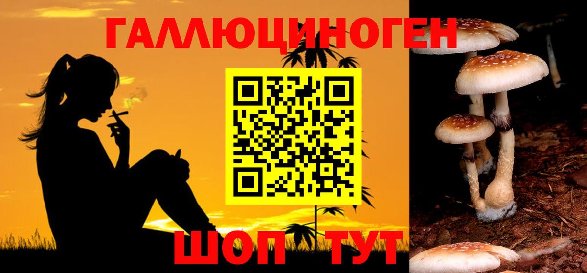 Дальнегорск  Галлюциногенные грибы Cubensis  Вход с VPN 